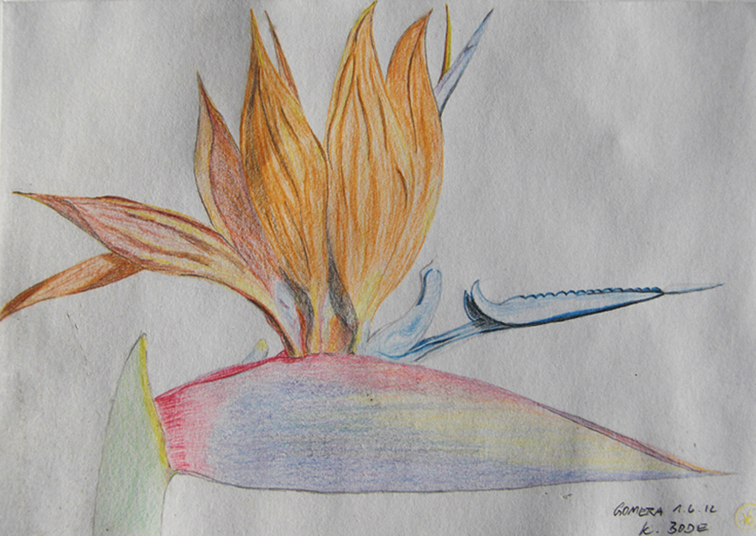 Buntstift, A5