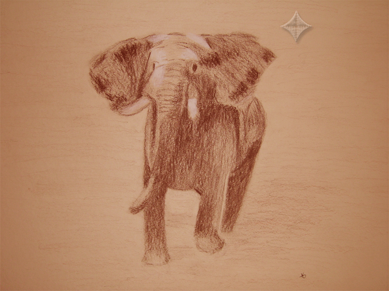 Vorlage aus dem Buch -Zeichnen lernen- von Angela Gair, Elefant, Cont�kreide auf Pastellpappe, 50 x 35 cm
