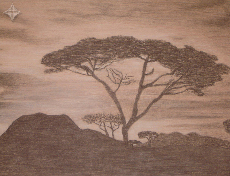serengeti